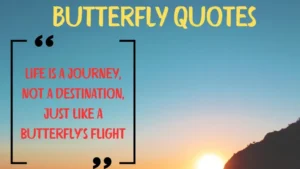 Read more about the article 🦋 540+ Inspiring Butterfly Quotes for 2025