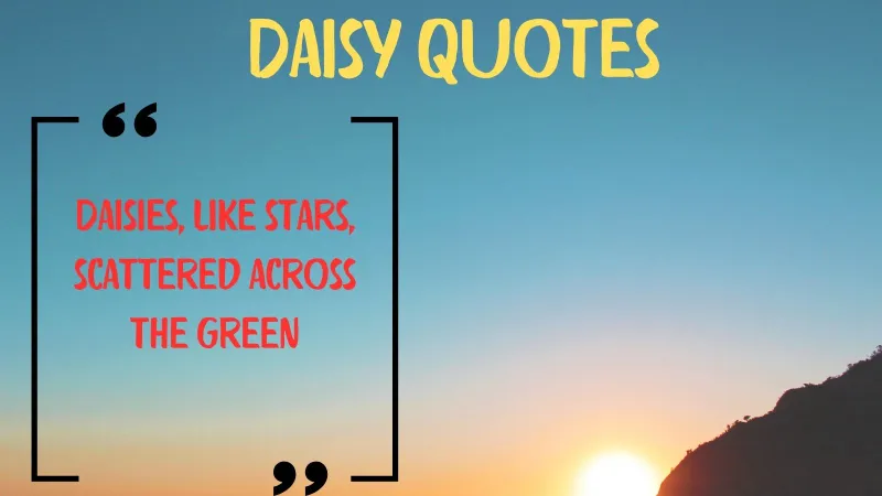 Read more about the article 🌼 540+ Beautiful Daisy Quotes for 2025 🌼