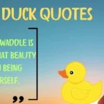 350+ 🏞️ Inspiring Duck Quotes for 2025