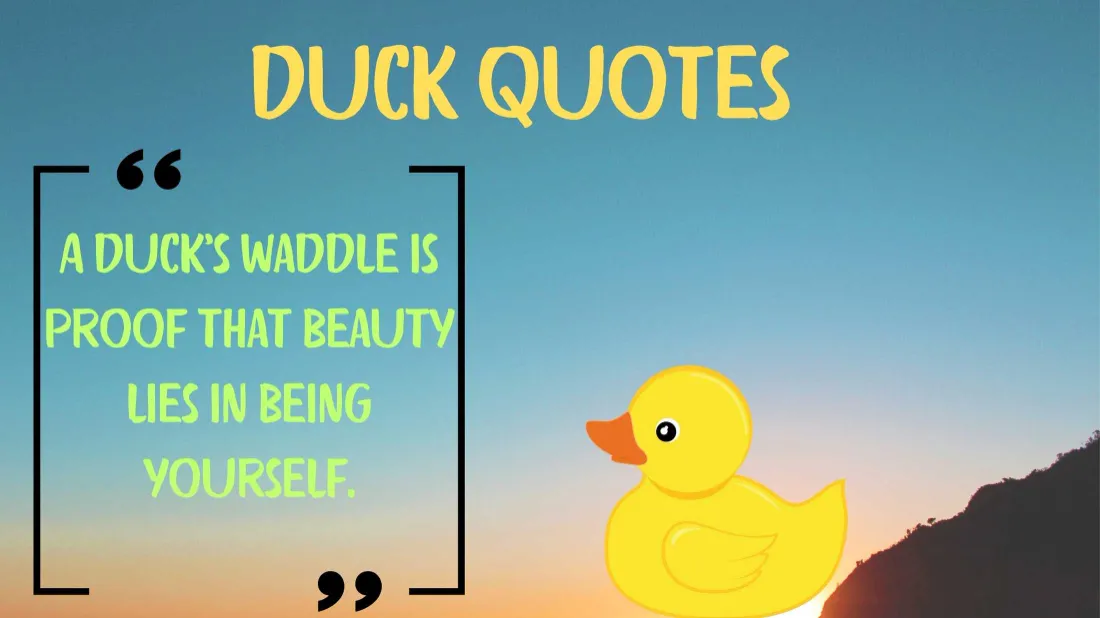 Read more about the article 350+ 🏞️ Inspiring Duck Quotes for 2025