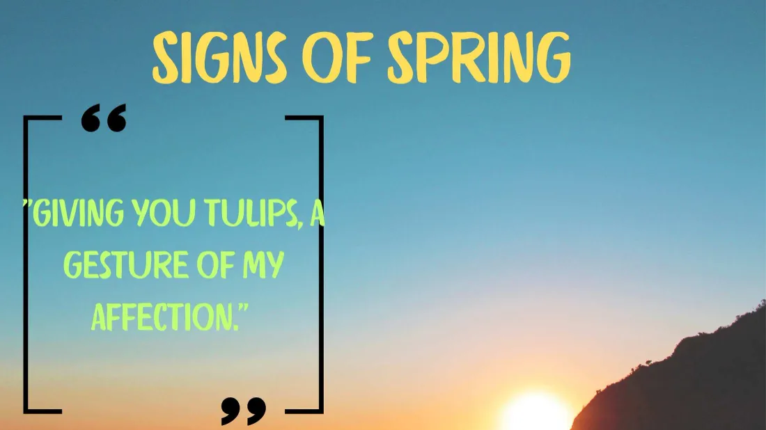 Read more about the article 350+ 🌞 Inspiring Signs of Spring Quotes 2025